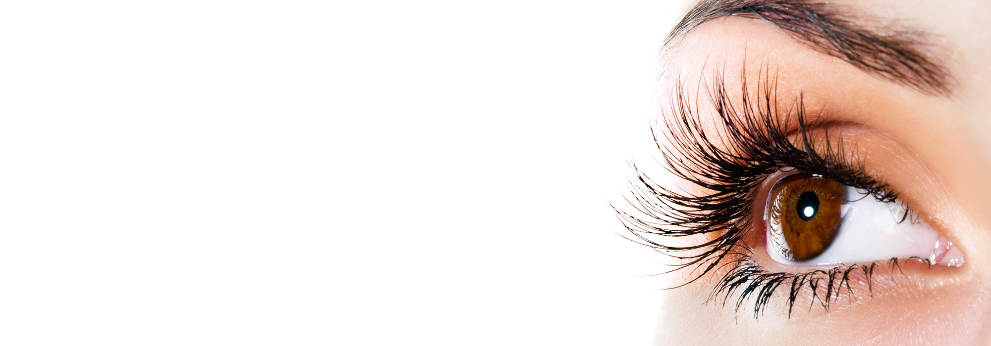 The Makeup Bar - Eyelash Extensions